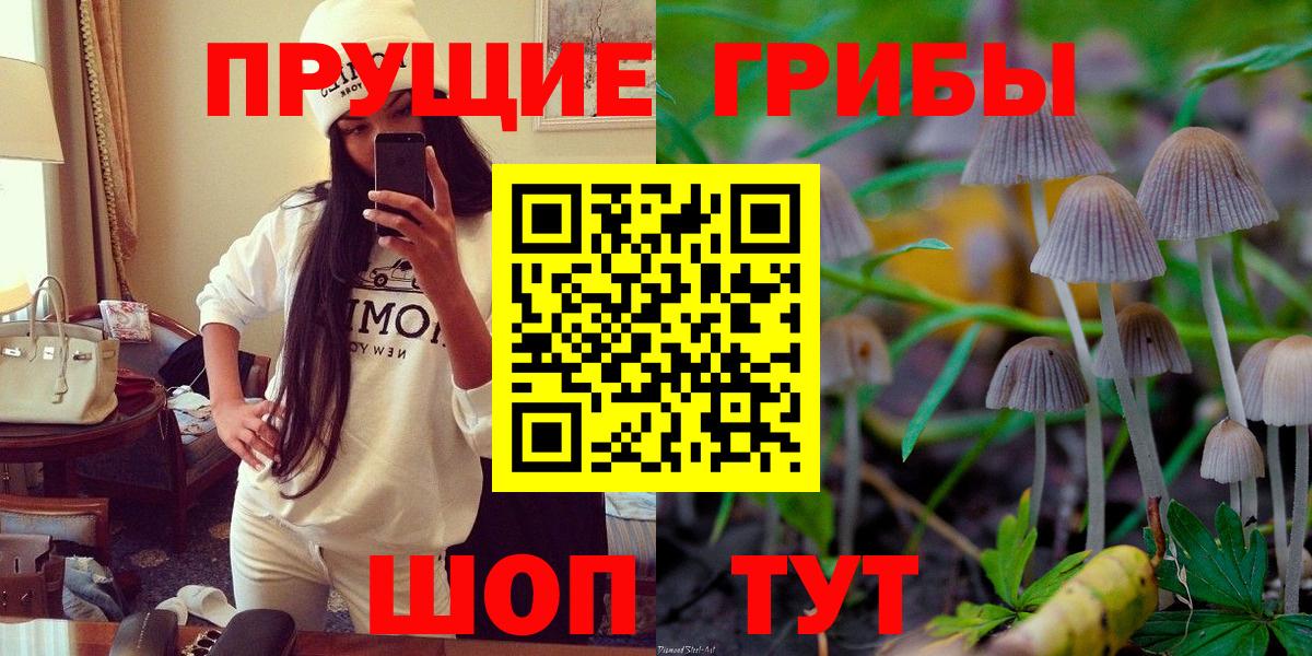 Галлюциногенные грибы Psilocybine cubensis Заволжье