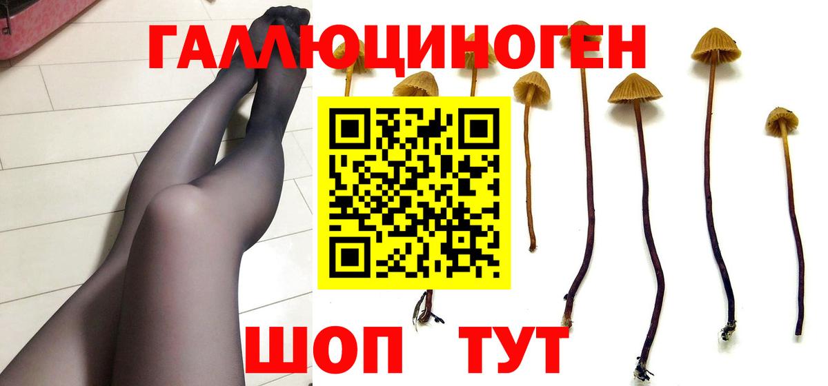 Галлюциногенные грибы мухоморы  Вход с VPN  Заволжье  Галлюциногенные грибы Cubensis 